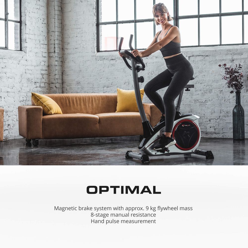 AL 1 Treningssykkel Sølv