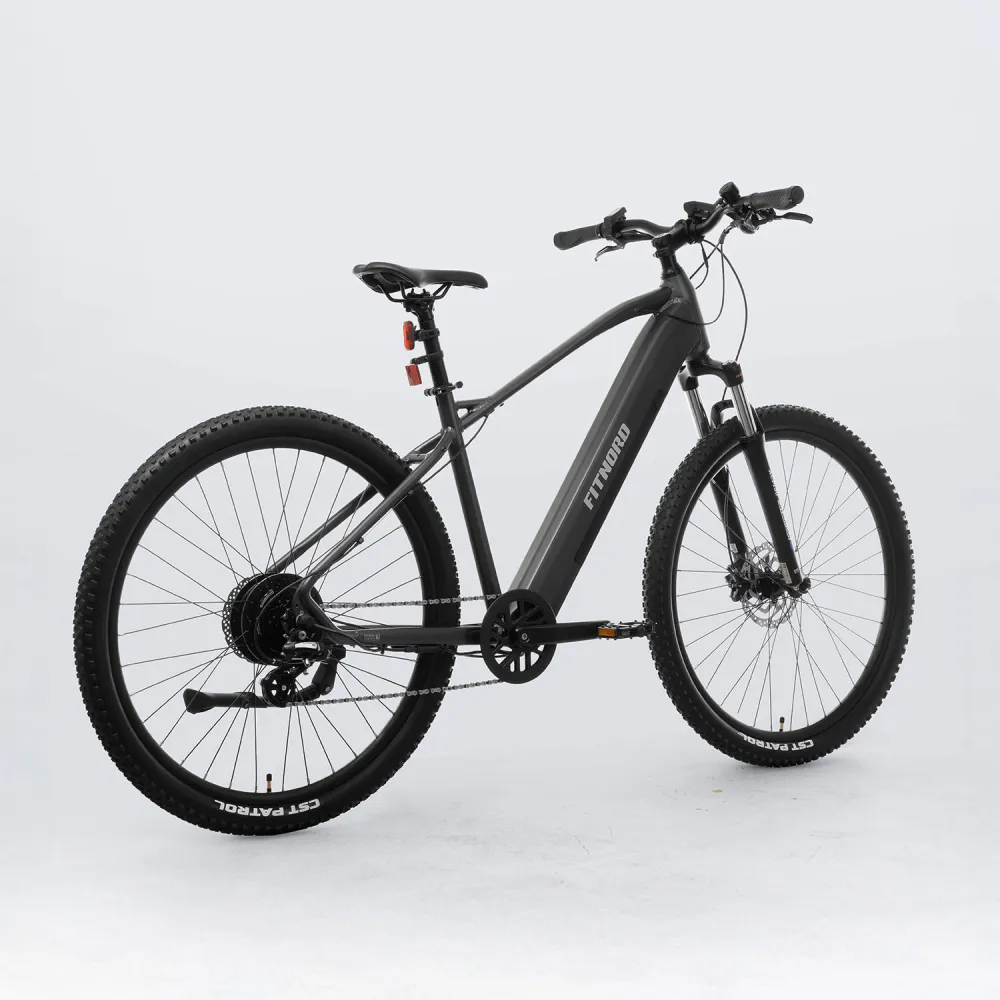 Ranger 300 Elektrisk Terrengelsykkel G2, 720Wh svart